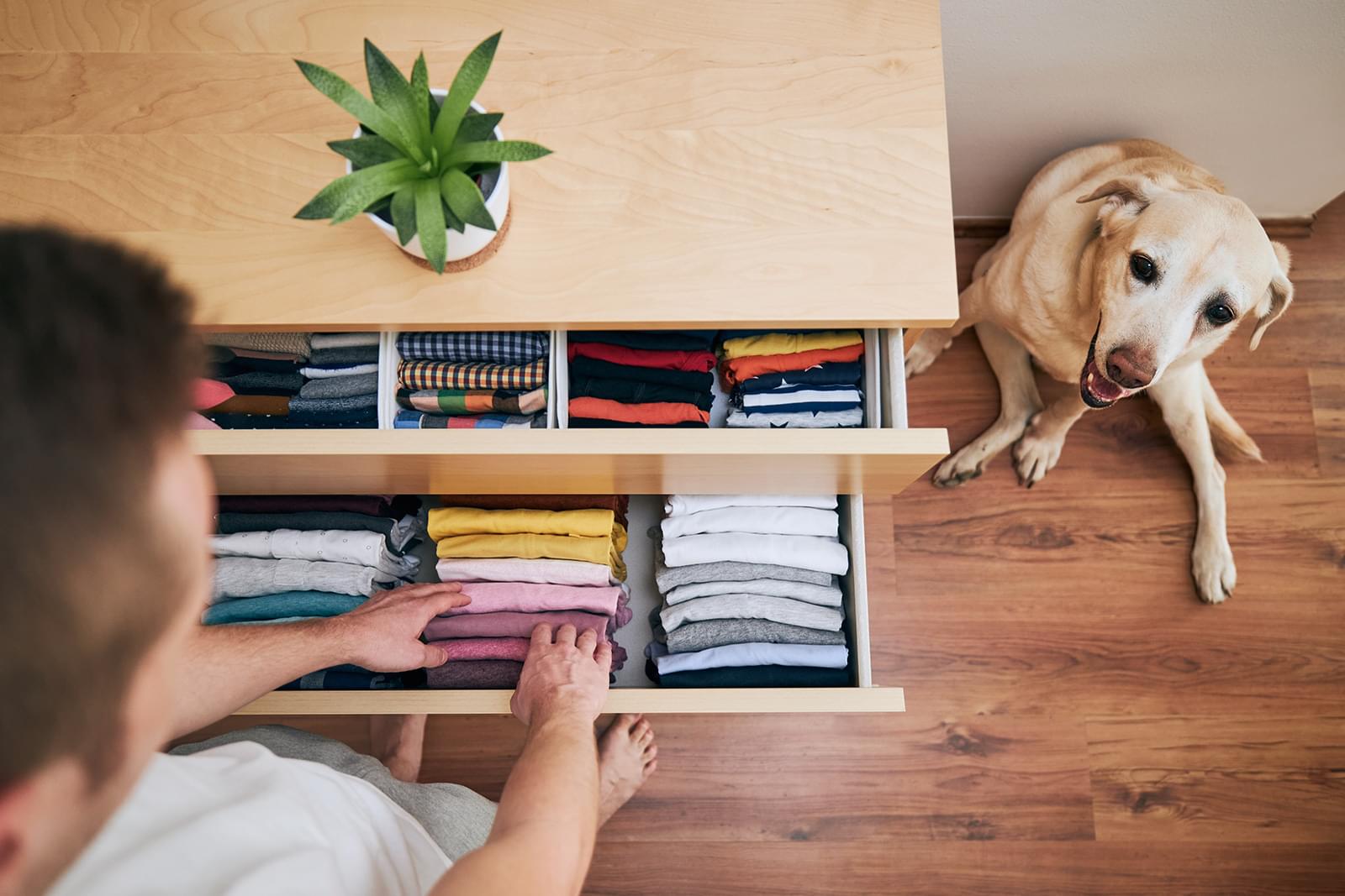 Dicas para organizar a casa durante a quarentena